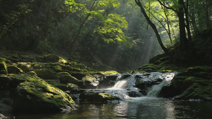 Table de salle à manger à rallonge en bois massif TOKIO | KARPIS